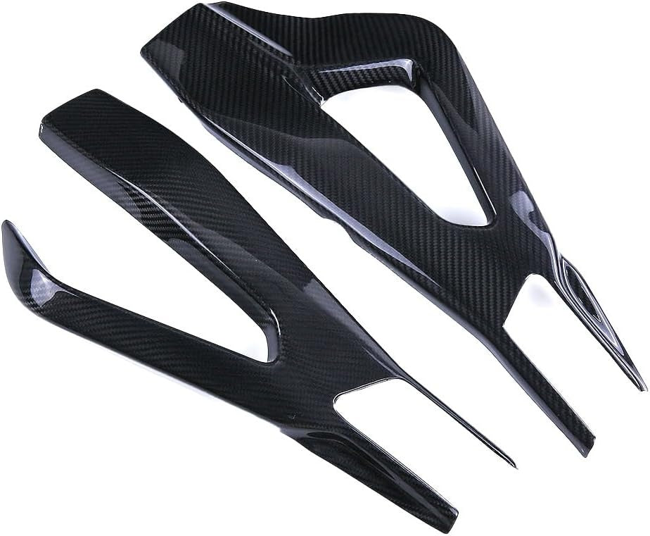 Carbon swingarm cover BMW S1000RR 2019- S1000R 2021- M1000R 2023- M1000RR 2023-