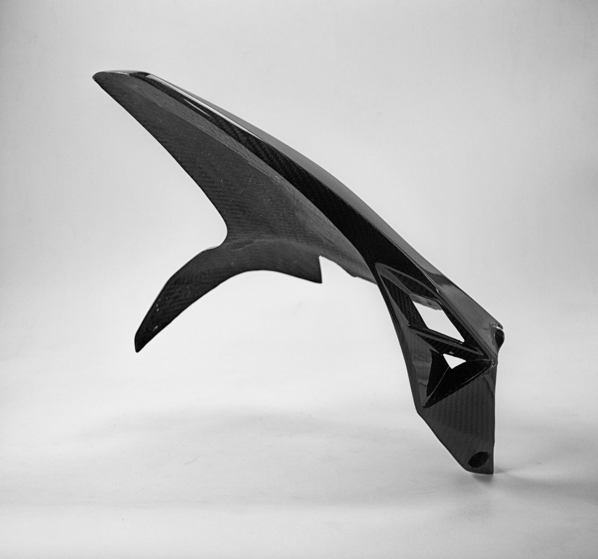 Carbon achterspatbord Ducati Panigale 1199 1299 / V2 / streetfighter V2