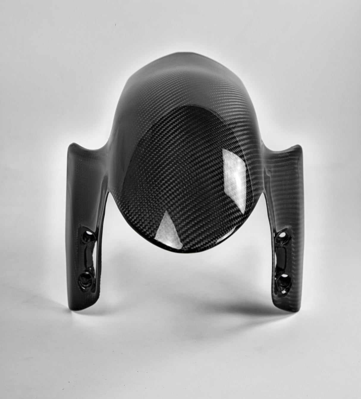 Carbon Voorspatbord Ducati Panigale V2 V4 V4R V4S Streetfighter V4
