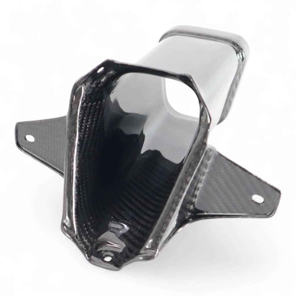Paar Carbon Kuipdelen BMW M1000RR 2023-