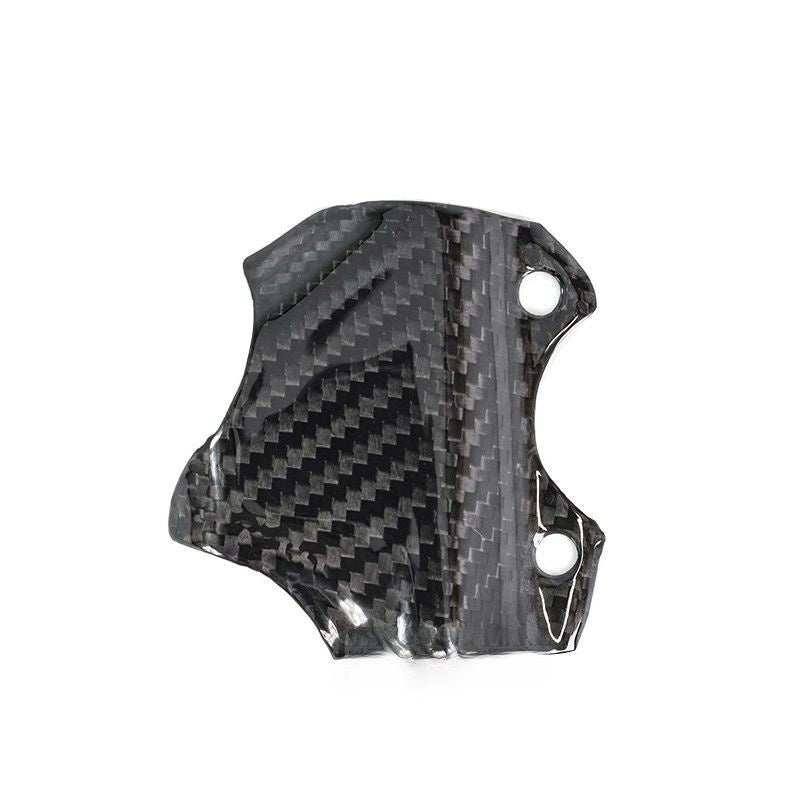 Carbon rempomp cover Ducati 748 916 996 998 749 999 848 1098 1198 Streetfigther