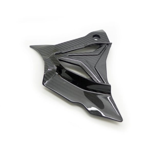 Carbon Tandwiel Cover voor BMW S1000RR 2019- S1000R 2021- M1000R 2023- M1000RR 2023-