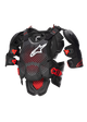 Protectie