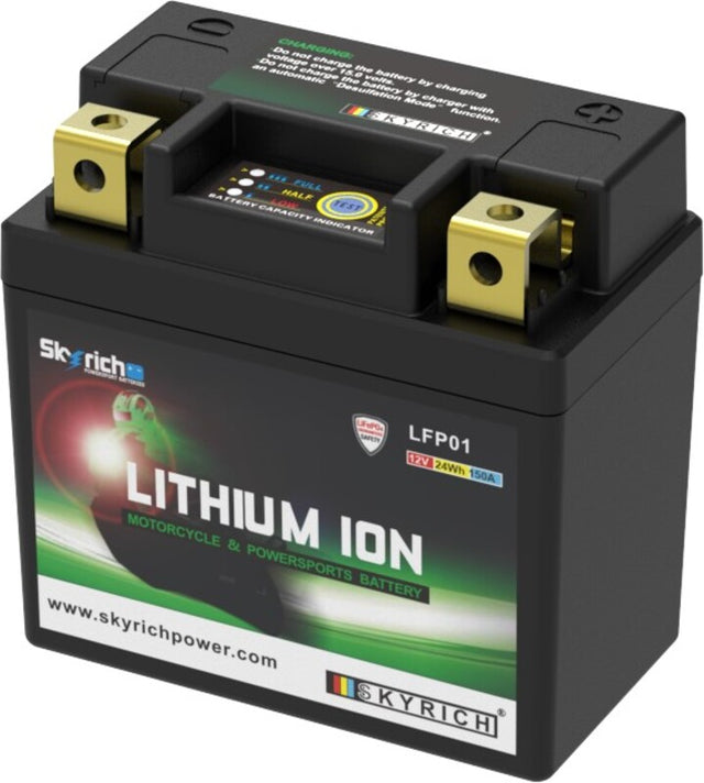 SkyRich lithium-ion accu LFP01