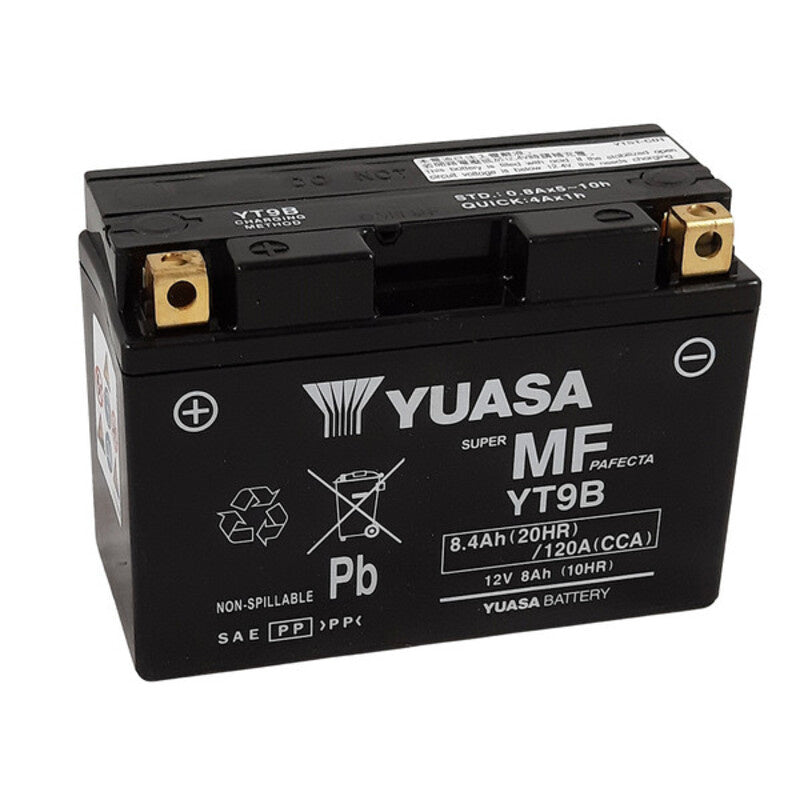 Fabrieks geactiveerde onderhoudsvrije batterij - YT9B
