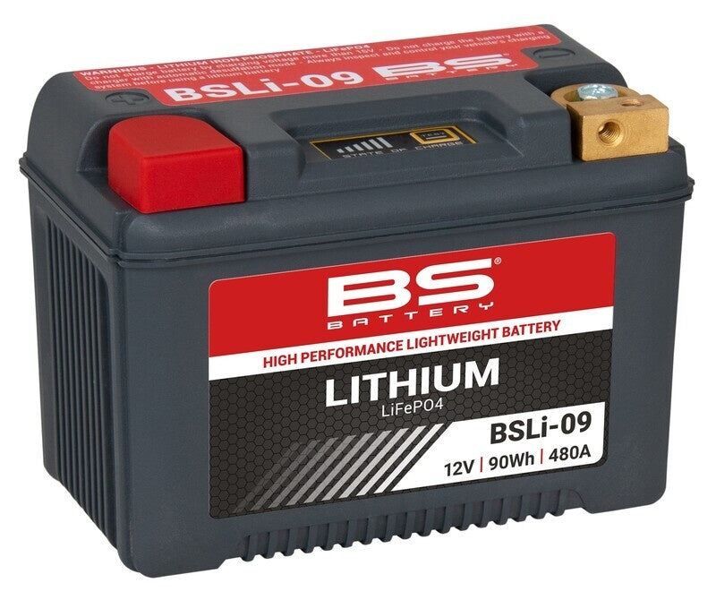 Accu Lithium-Ion - BSLI-09