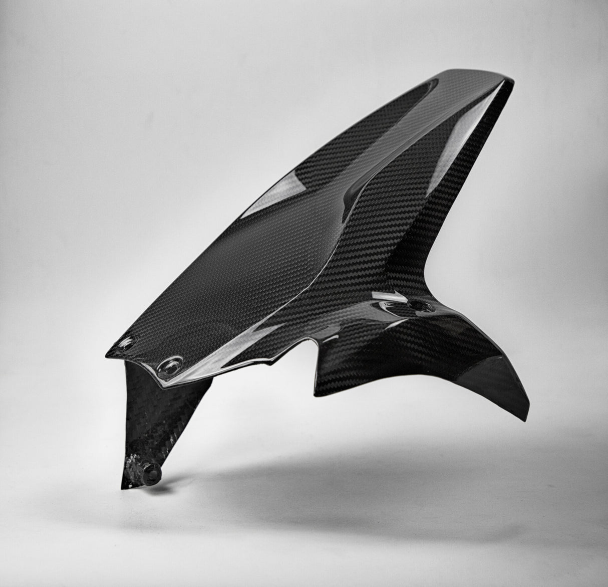 Carbon achterspatbord Ducati Panigale 1199 1299 / V2 / streetfighter V2