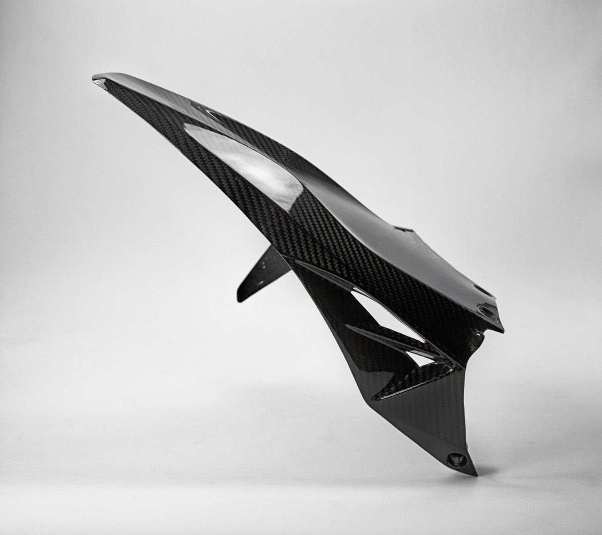 Carbon achterspatbord Ducati Panigale 1199 1299 / V2 / streetfighter V2