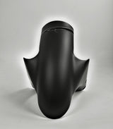 Carbon voorspatbord Ducati 748 916 996 998