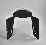 Carbon Voorspatbord Ducati Panigale V2 V4 V4R V4S Streetfighter V4