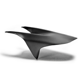 Carbon Achterspatbord Ducati 848 1098 1198