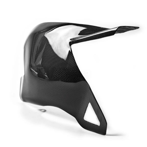 Carbon Achterbrug protectie Ducati 848 1098 1198