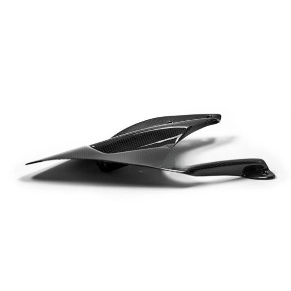 Carbon Achterspatbord kort model Ducati 848 1098 1198