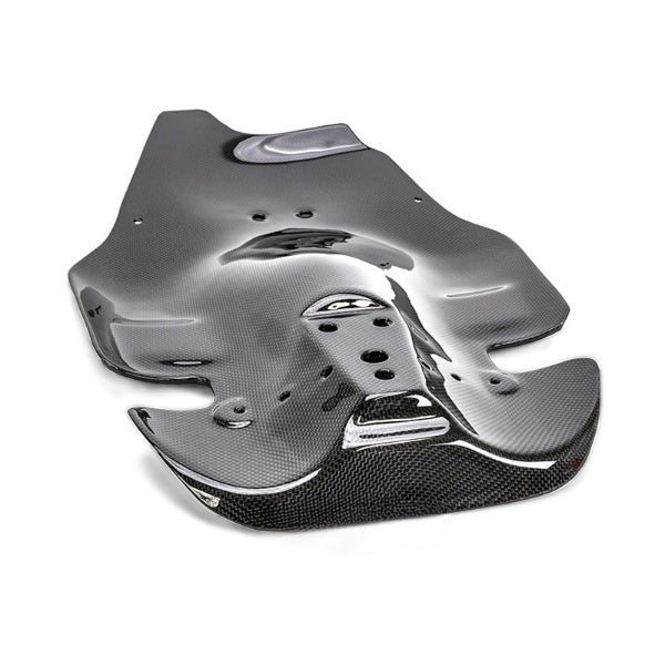 Carbon underseat Monoposto Ducati 748 916 996 998