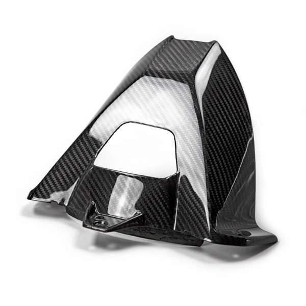 Carbon Achterspatbord BMW S1000RR 09-18