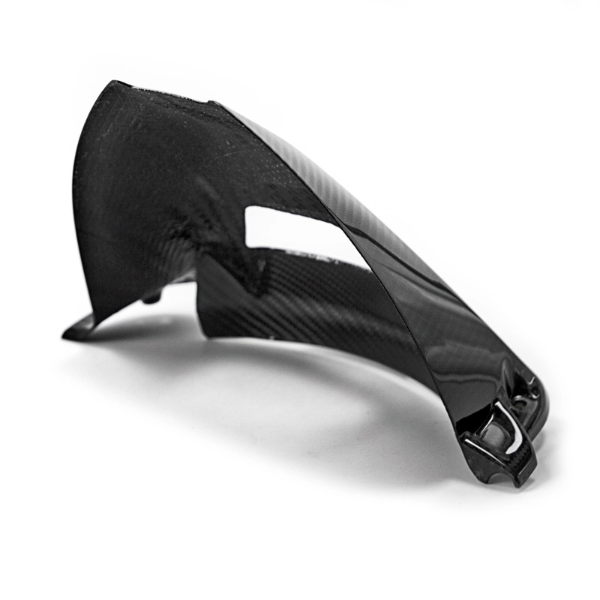 Carbon Achterspatbord BMW S1000RR 09-18