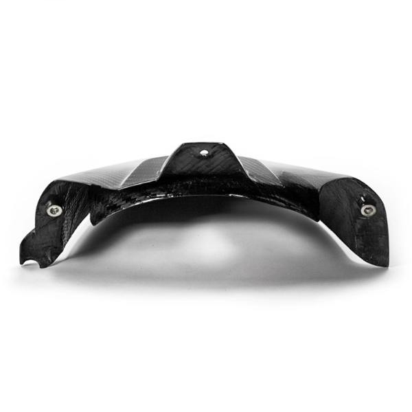 Carbon Achterspatbord BMW S1000RR 09-18