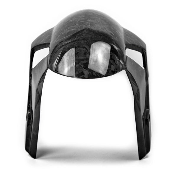 Carbon Voorspatbord BMW S1000RR 2021- M1000R 2023-