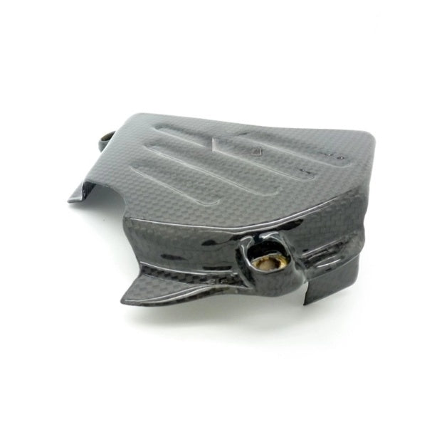 Carbon tandwiel cover Ducati Monster 94-07