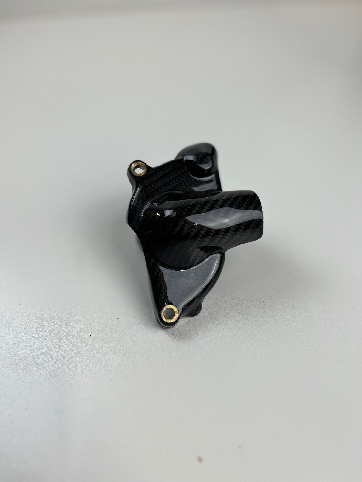 Waterpomp cover Carbon Ducati 848 1098 1198
